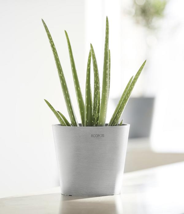 Ecopots Kunststoff-Topf Amsterdam Mini, rund,