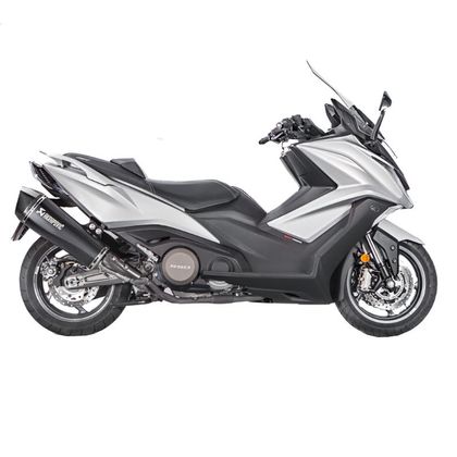 Silencieux Akrapovic Inox noir embout carbone