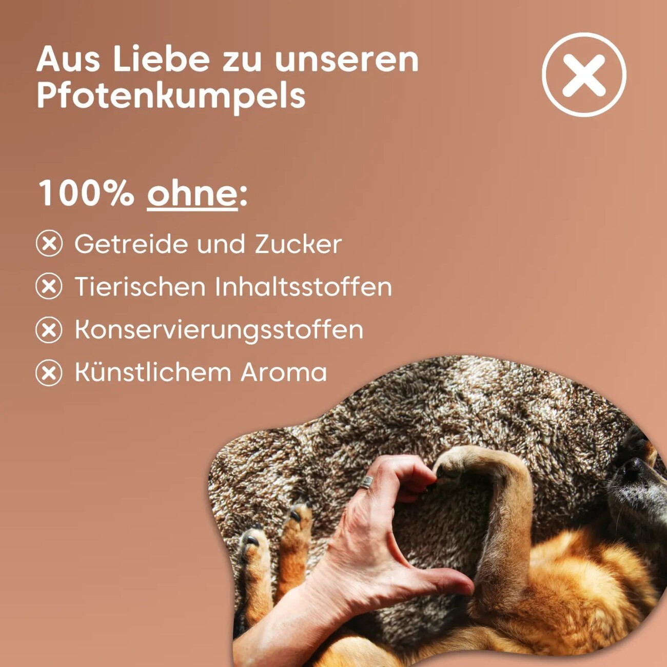 Pfotenkumpels Gelenktabletten / -snack Hüftschwung 200g