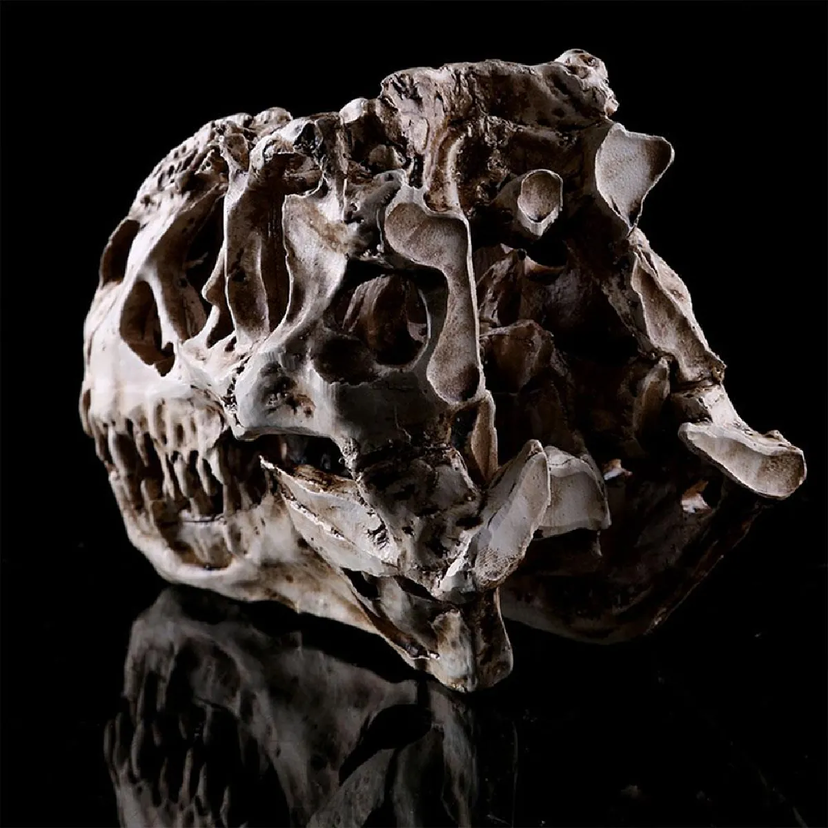 Universal Rex Skull Dinosaur Resin Artisanal