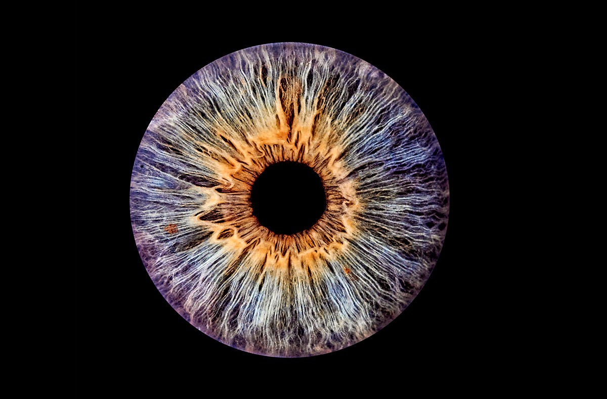 Iris Fotografie Haßfurt