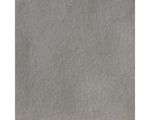 FLAIRSTONE porseleinen terrastegel Garden Goldengrey gerectificeerde rand 60 x 60 x 2 cm