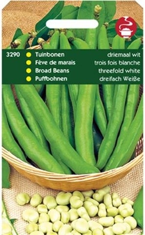 groentezaad Tuinboon (Vicia faba 'Driemaal Wit')