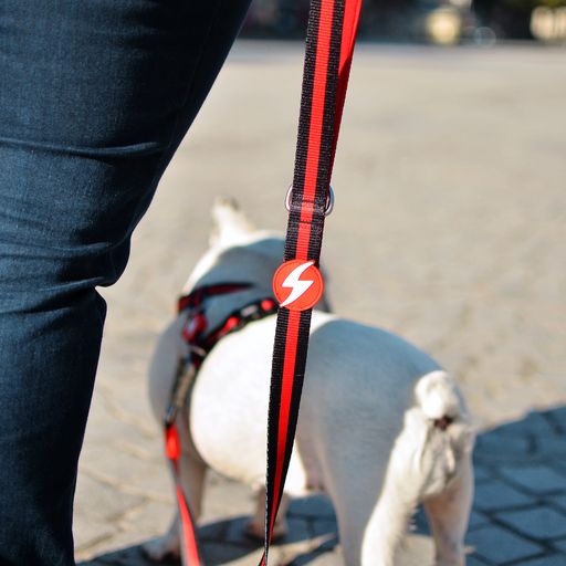 Guia para cães Dashi Stripes em poliéster vermelho e preto