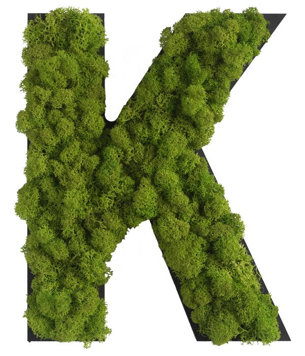 styleGREEN Buchstaben aus Islandmoos, ca. H25