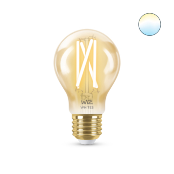 WiZ Connected LED peer E27 50W filament gold koel tot warmwit licht dimbaar