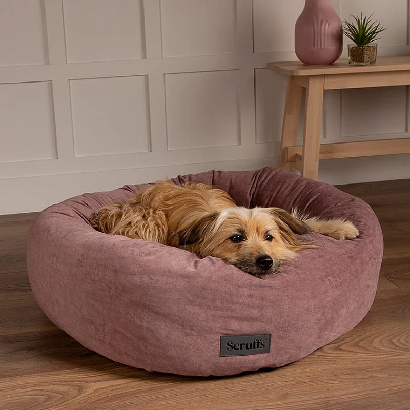 Scruffs Oslo | Blush Pink - Medium - Ø 55 cm | 13090.4