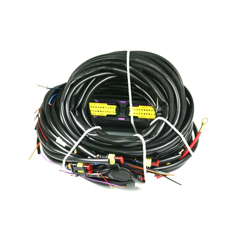 Landi Renzo Omegas 3/4 Zylinder Kabelbaum für OBD ECU 616467000 (Stecker MED GI25)