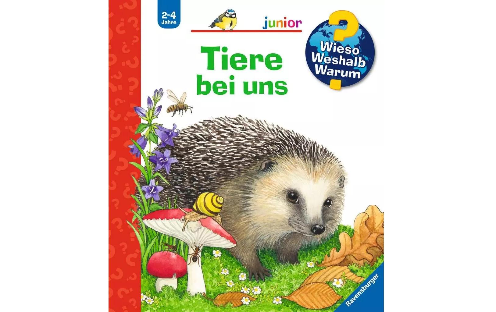 Kinder-Sachbuch WWW Tiere bei unsKlappbuch