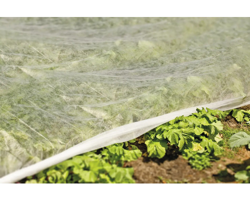 FloraSelf tuinvlies 10x1,5 m 17g/m² wit