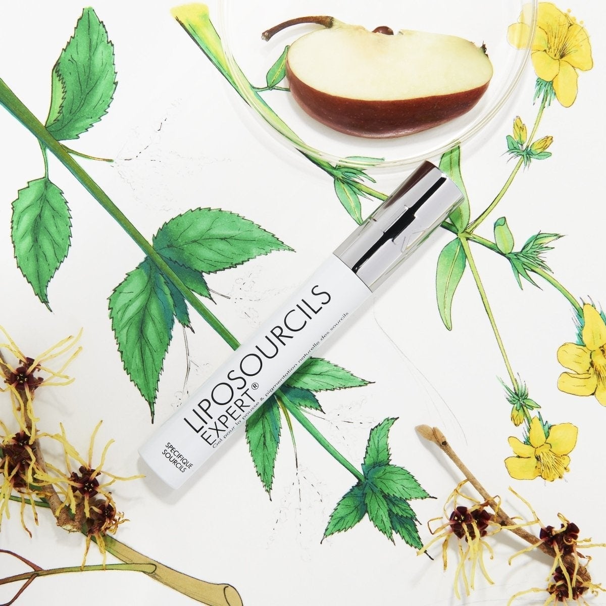 Talika Eyebrow Liposourcils Mascara Mascara Pousse des Sourcils