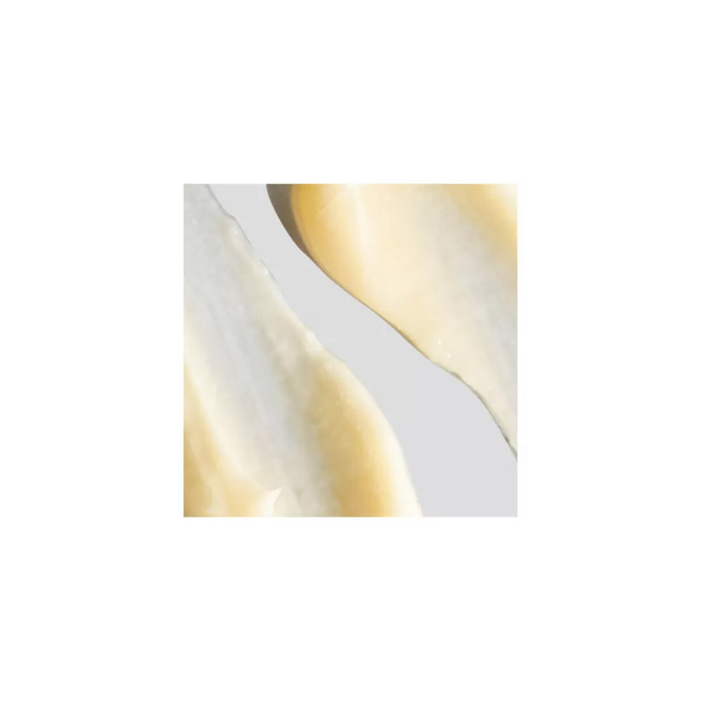 Dermalogica Melting Moisture Masque - 50 ml.