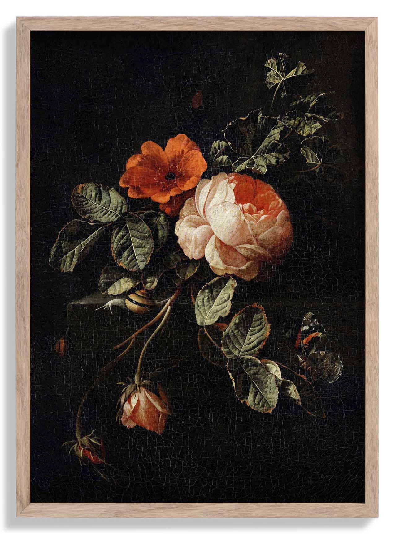 Rosen von van den Broeck