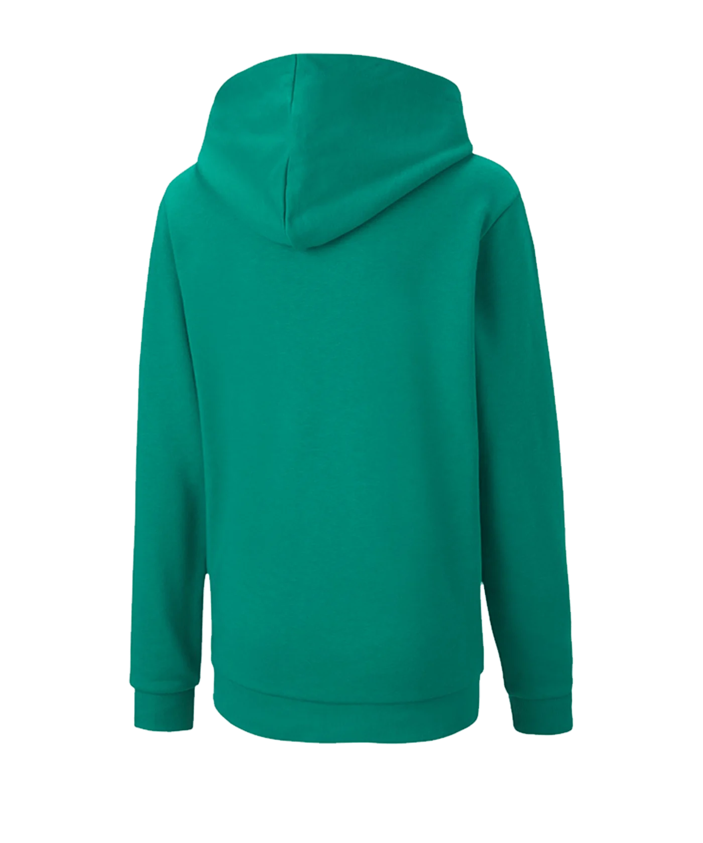 PUMA teamGOAL 23 Casuals Hoody Kids Grün F05