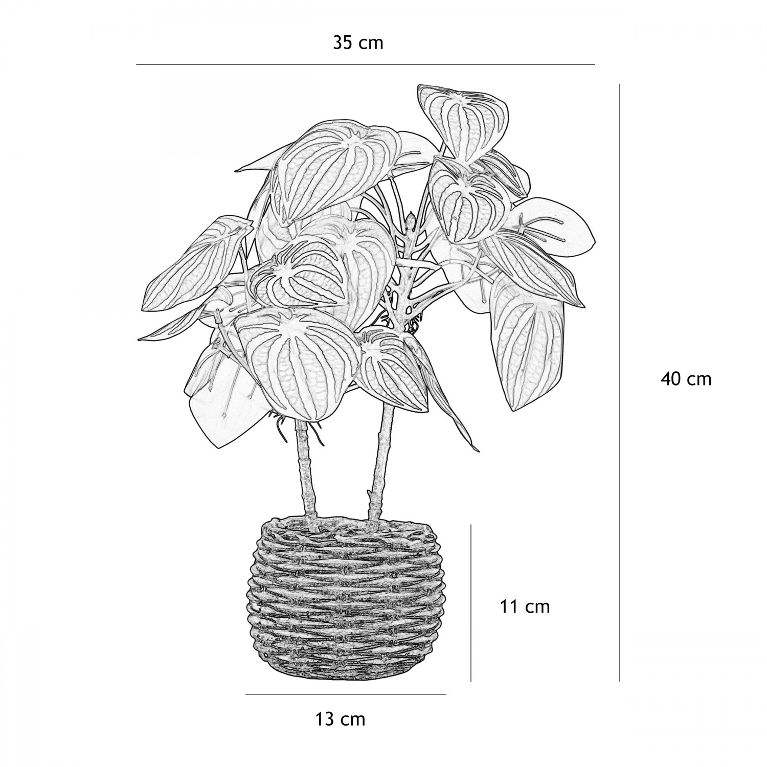 Peperomia artificiel pot effet cannage 40cm