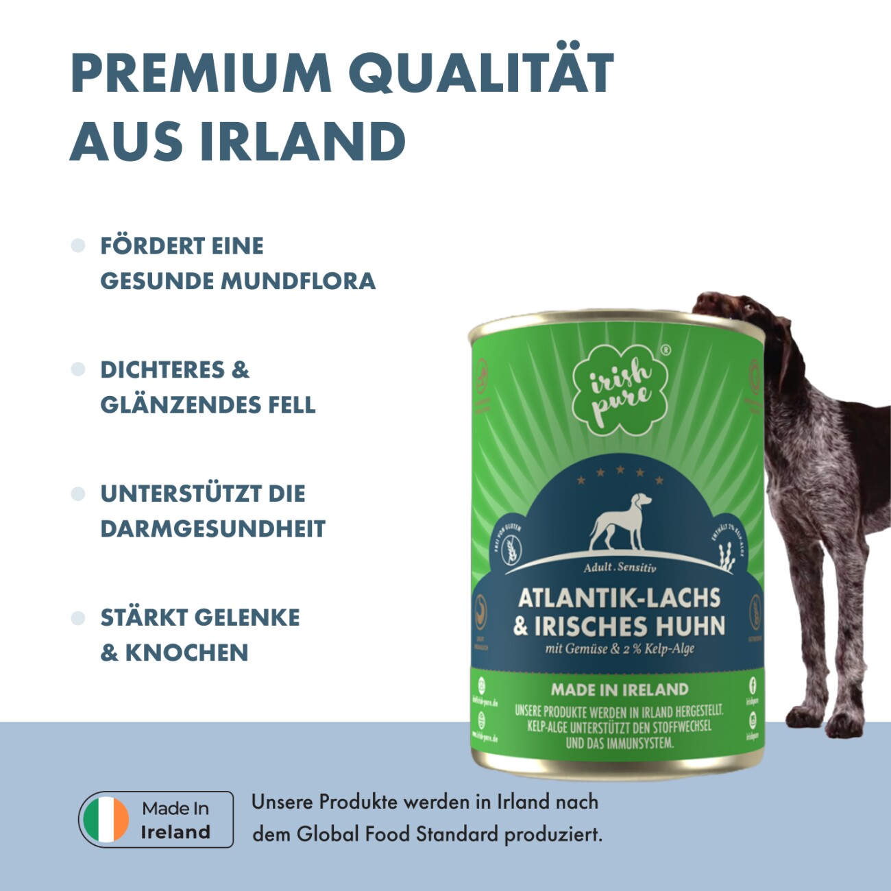 Irish Pure Nassfutter Atlantik-Lachs 390 g