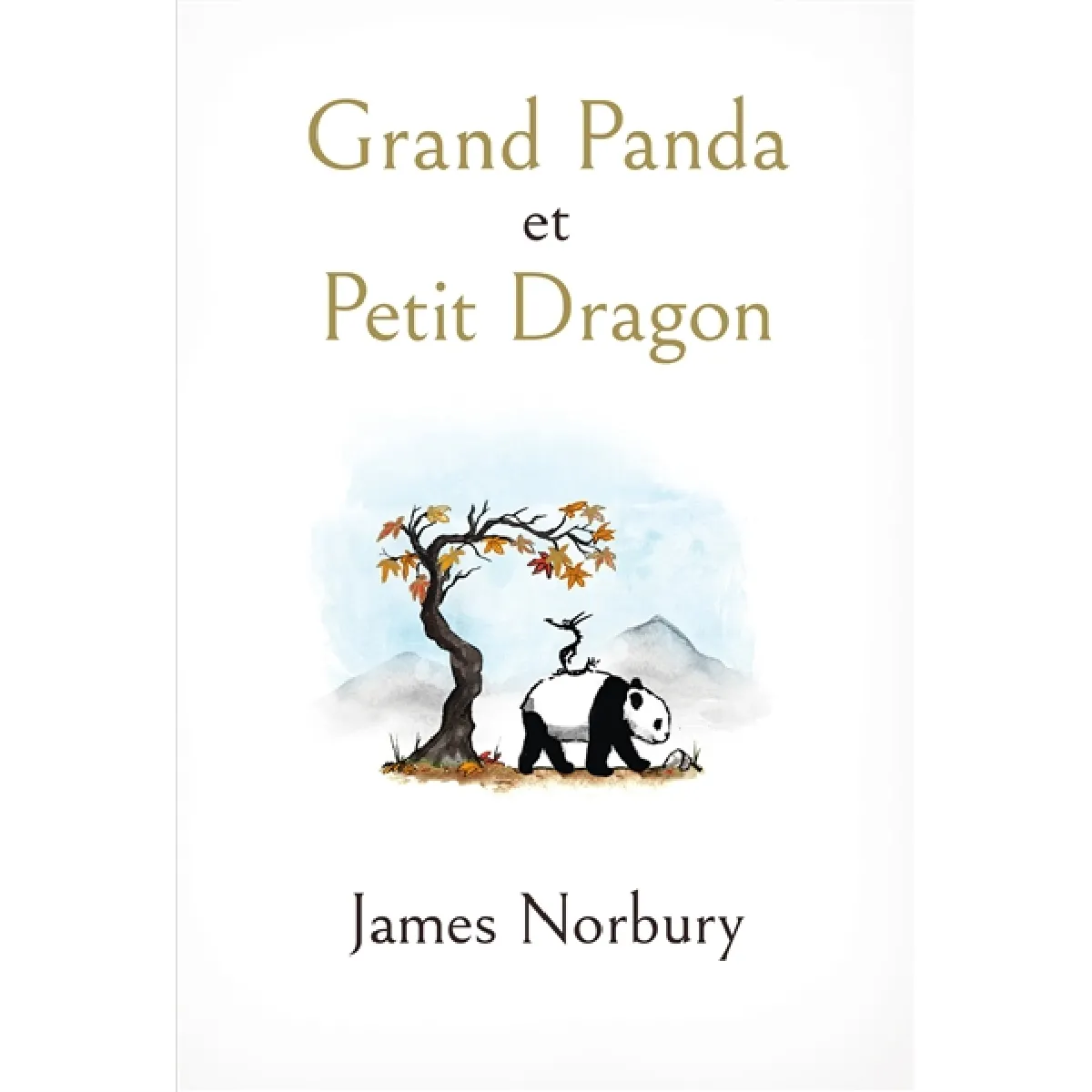 Grand panda et Petit dragon · Occasion
