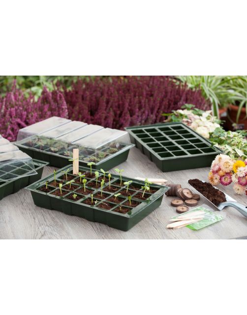 Nature Kweekbakset - Kweekbakken - 23.5x35x10.5 cm Groen Transparant 4 stuks