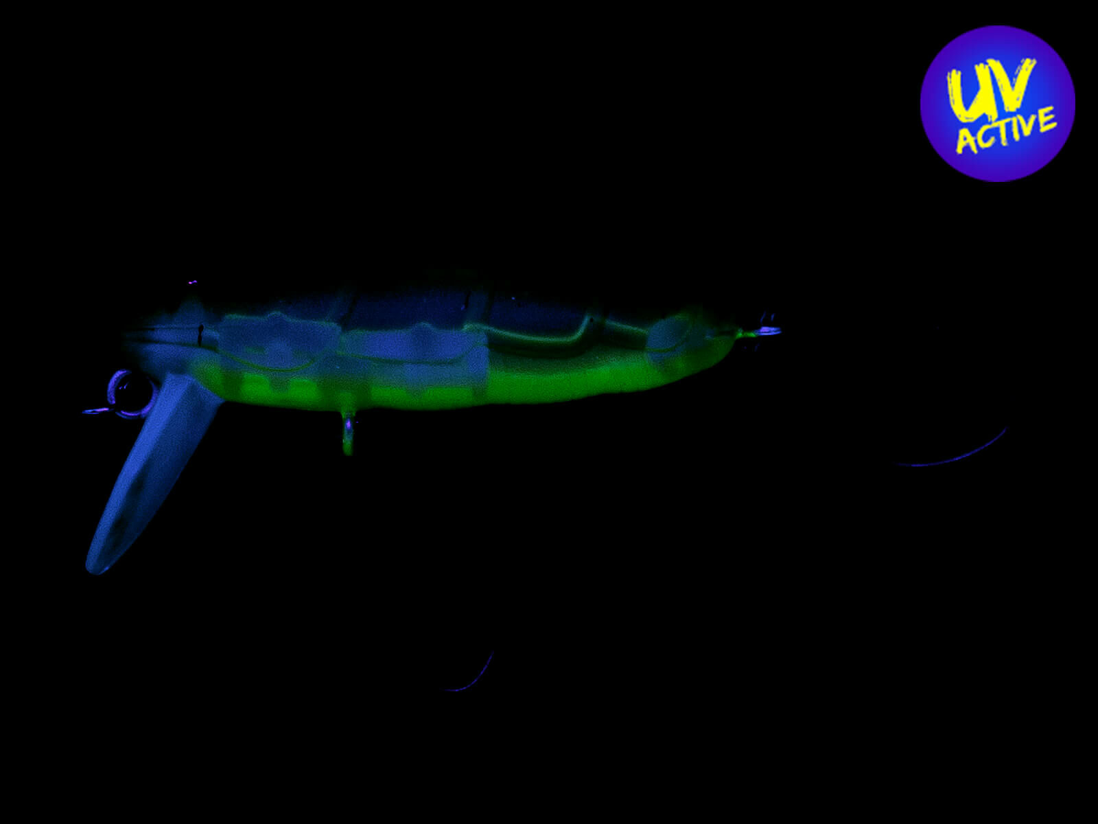Crankin Boss Pupa Shallow (347M) Kokedama(Nories)