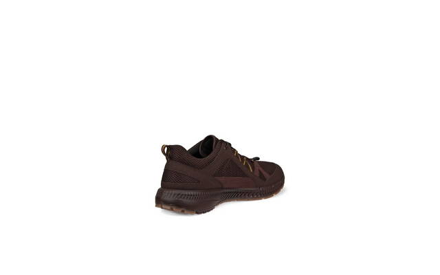 Ecco Terracruise II Herrenschuhe