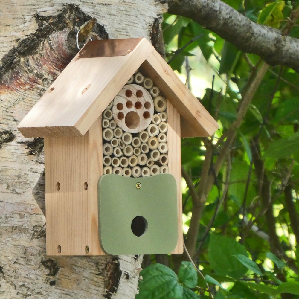 Abri pour insectes pollinisateurs