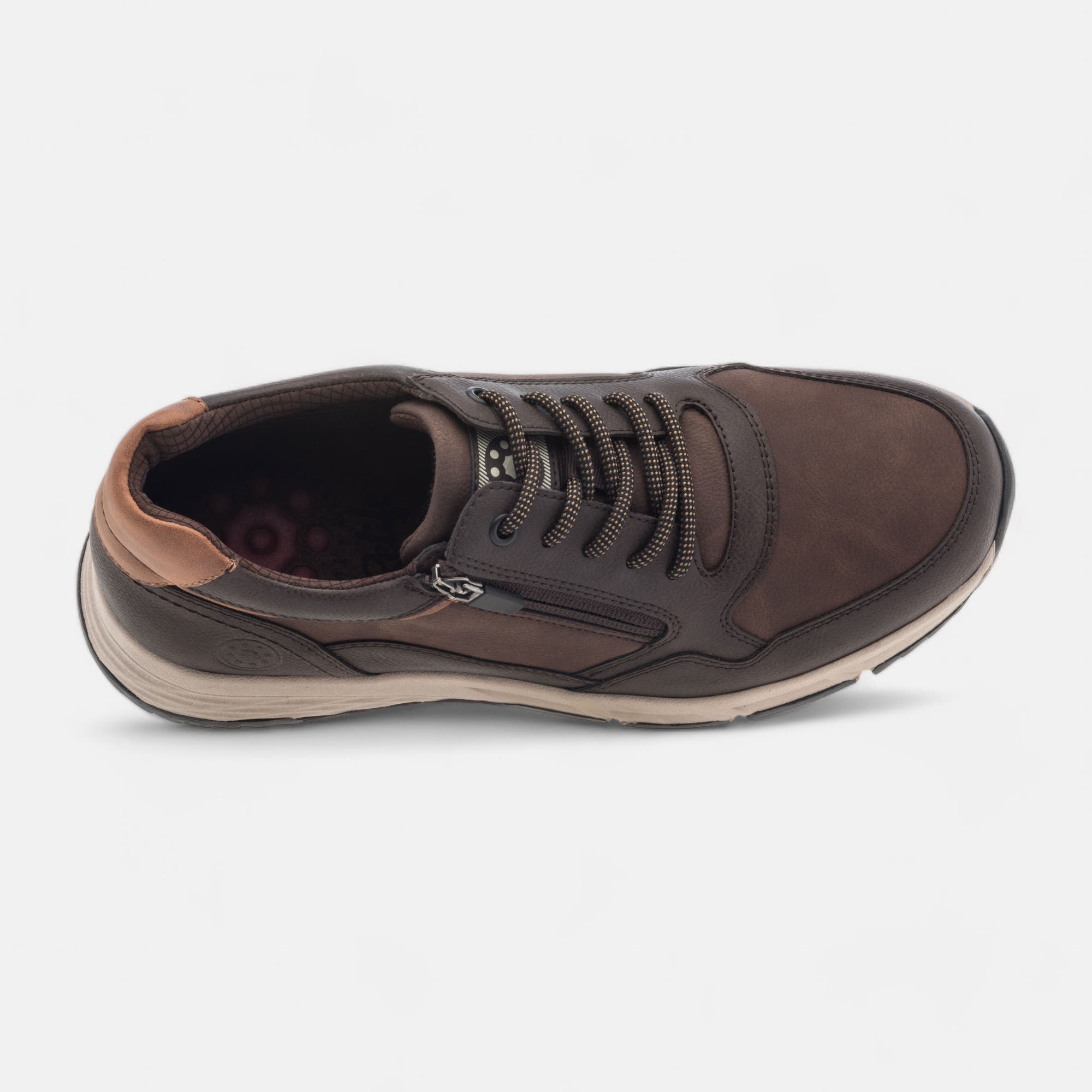 Baskets basses Homme marron