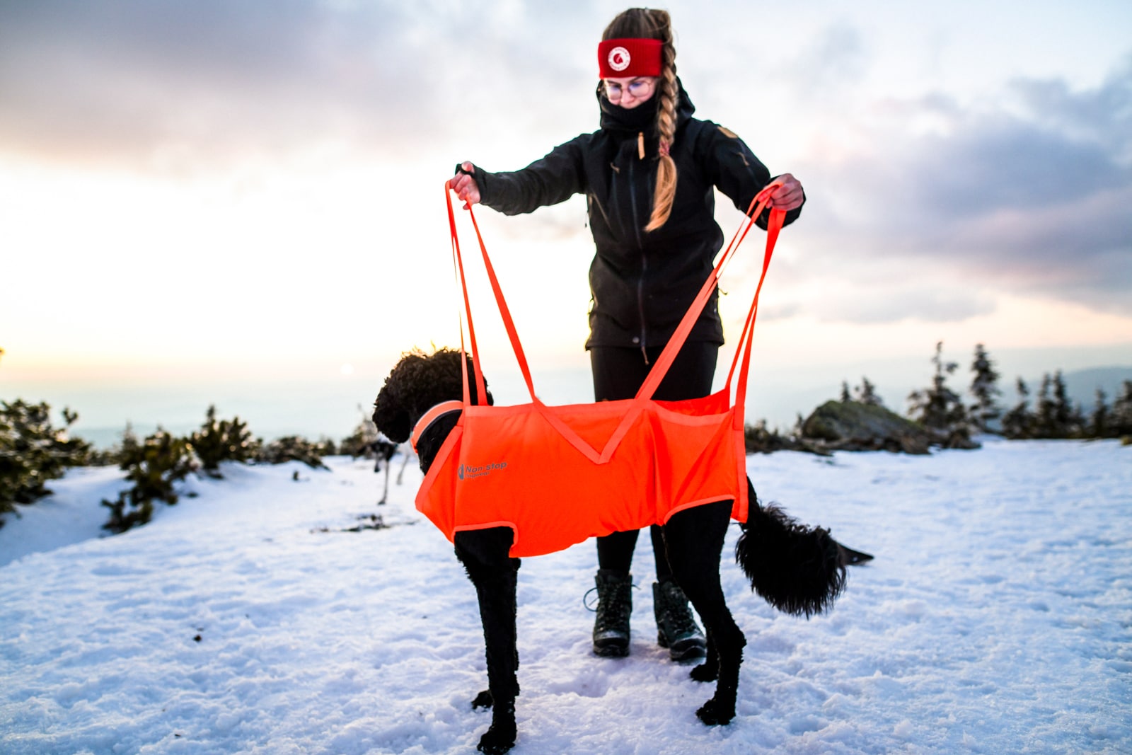 Non-Stop Dogwear Dog rescue sling<br>Lett, rask og pålitelig – når hunden trenger deg mest!