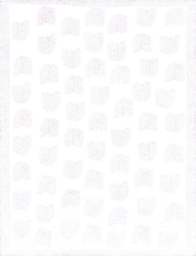 Quilt Dancing Peacock 230 x 270 cm reversible Weiss, Rosa, Blau BQ 67