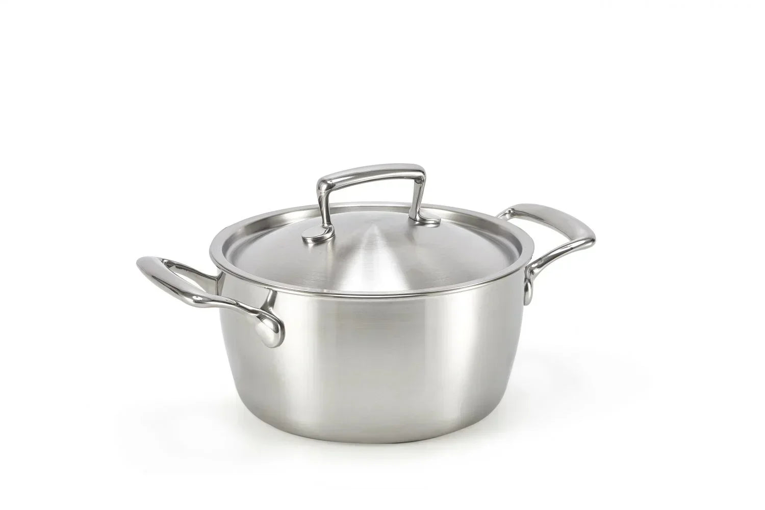 Habonne Queen kookpan - RVS