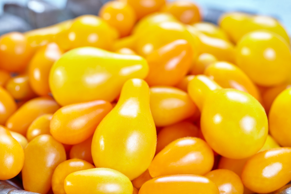 Sachet de graines de tomates poire jaune - sachet de 0,5 grammes - petite entreprise française - made in france