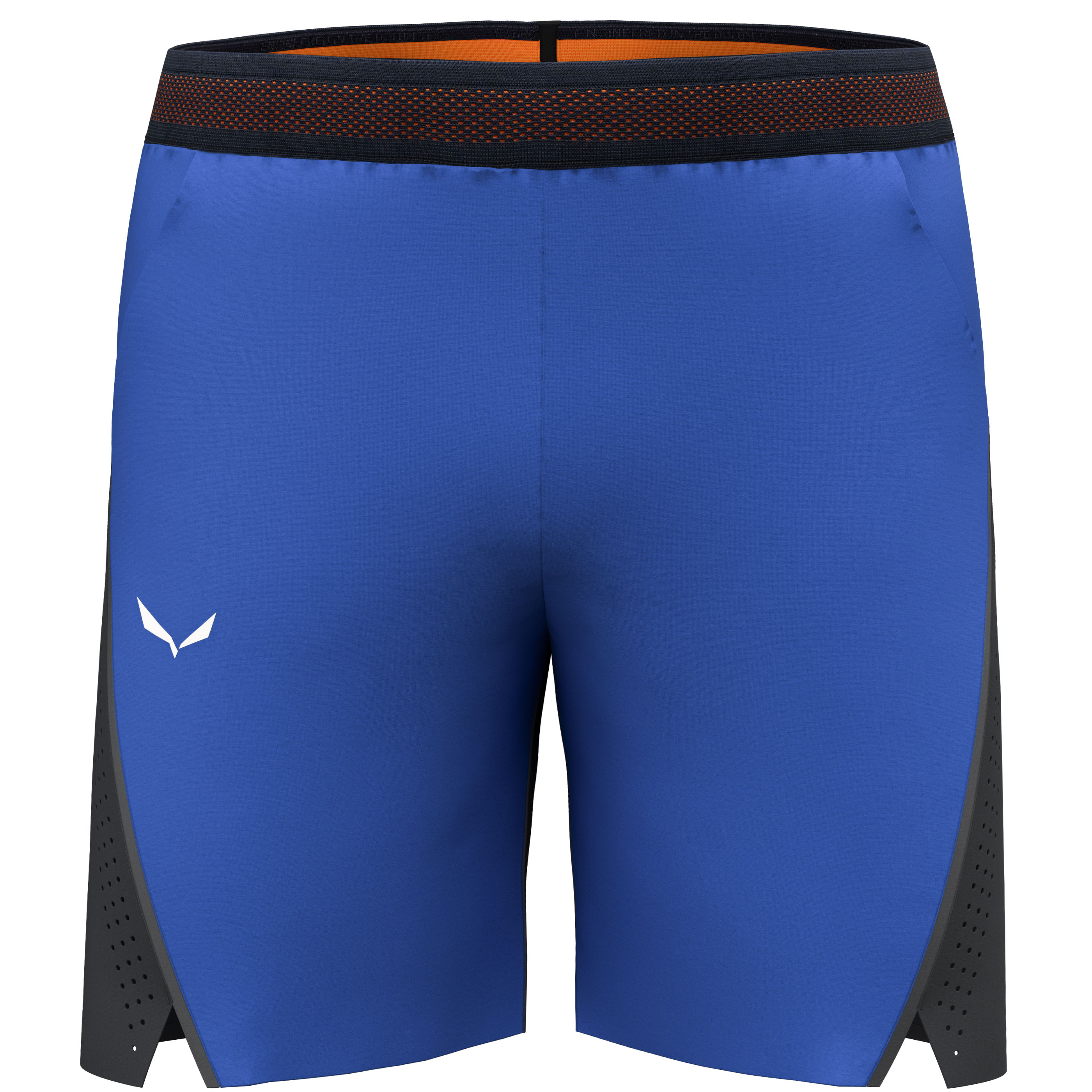 Pedroc 2 Durastretch Shorts Herren