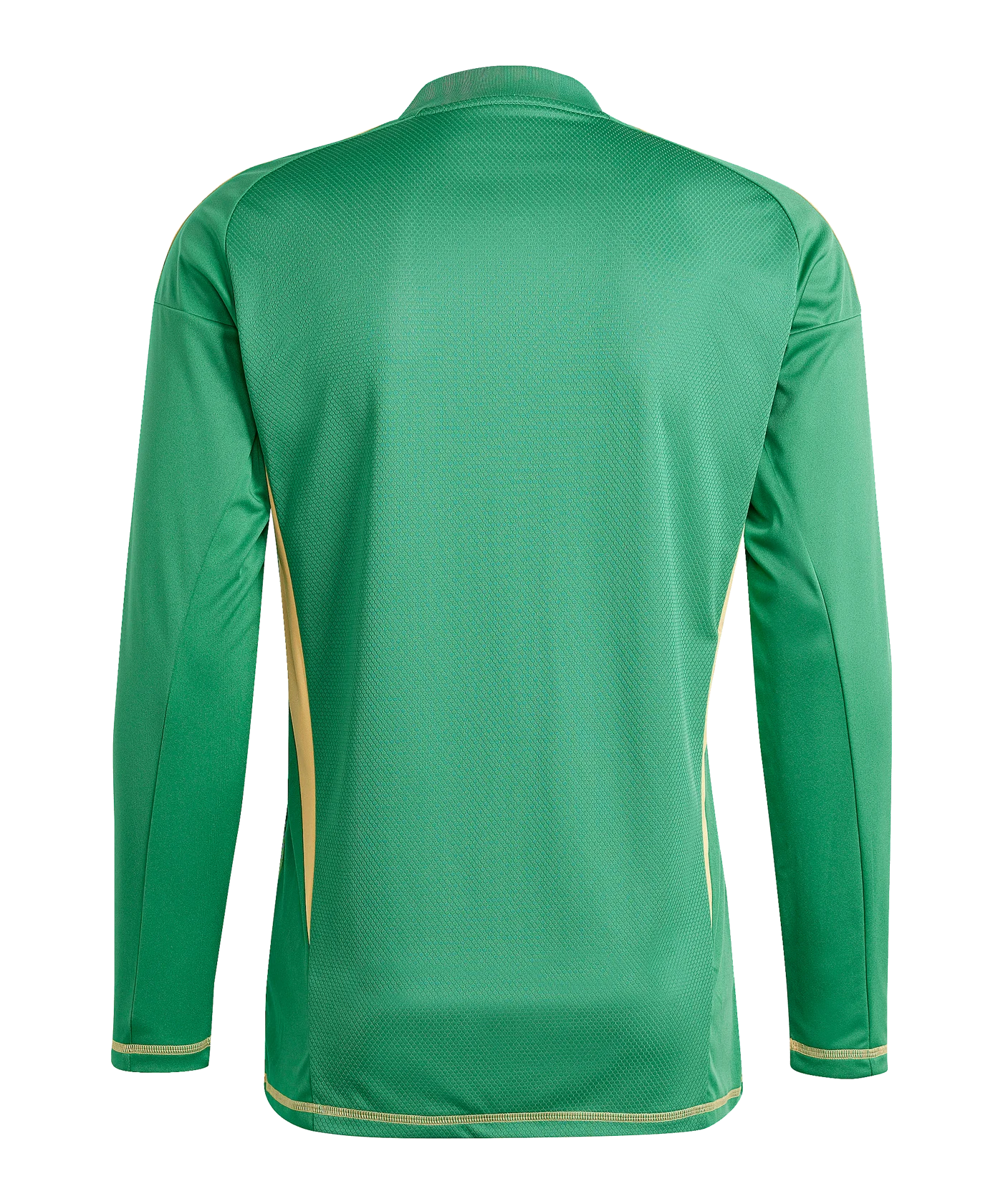 adidas Tiro 24 Torwarttrikot langarm Grün