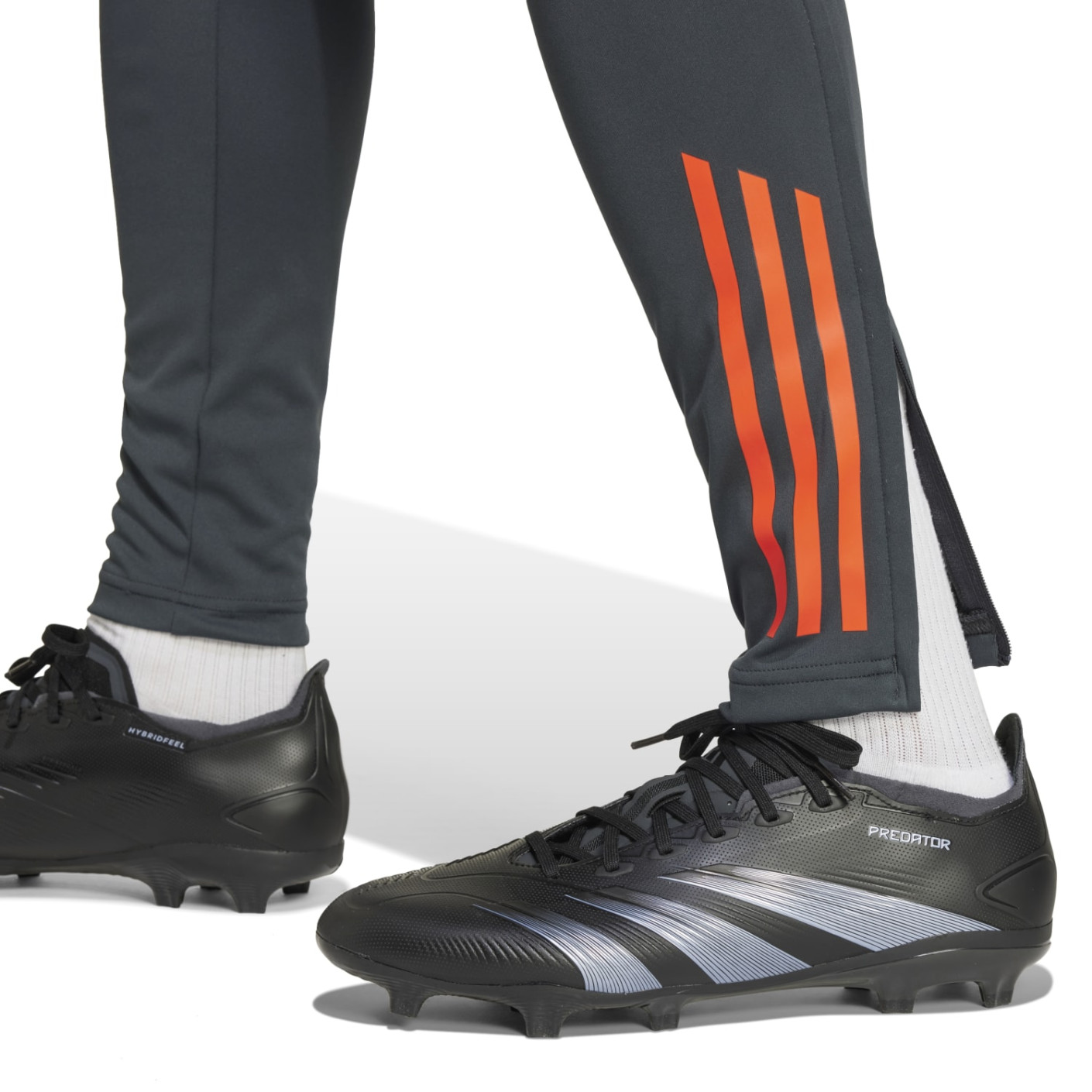 Adidas Benfica Trainingsbroek 2024-2025 Donkergrijs