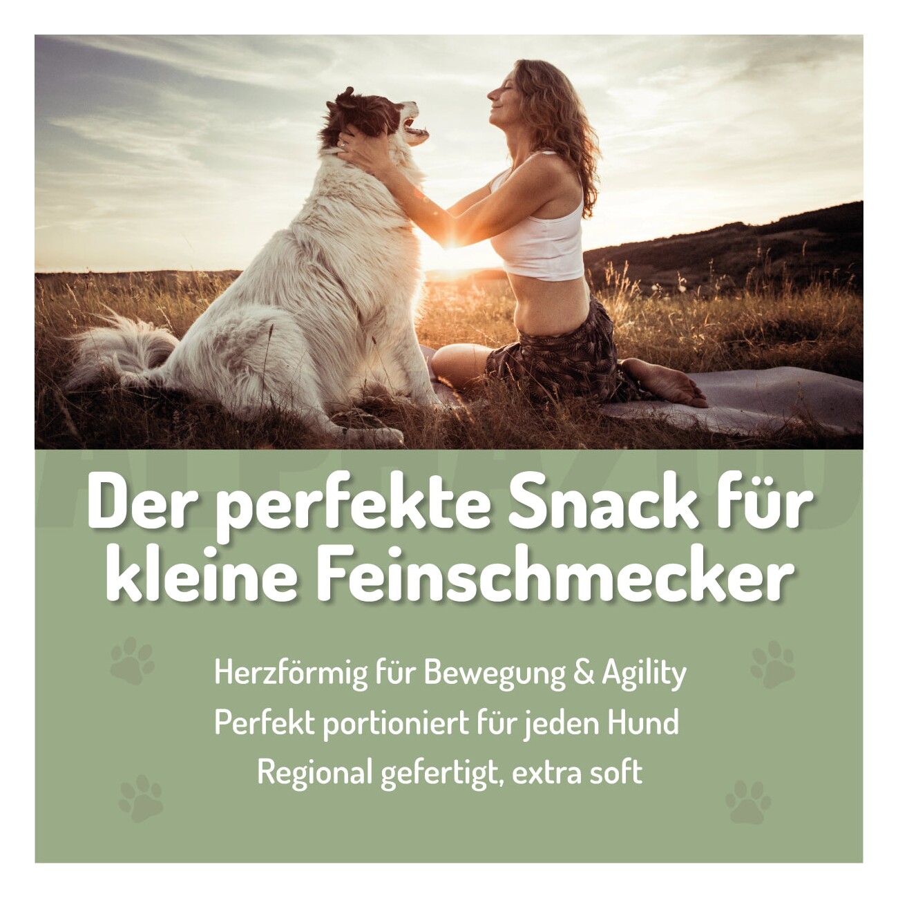 ALPHAZOO Auf Dem Sprung 60g I Funktionssnack für Gelenke & Knochen
