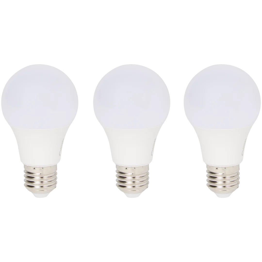 Ampoules LED connectées LSC Smart Connect