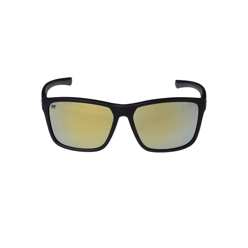 Lunettes Polarisantes Abu Garcia Beast