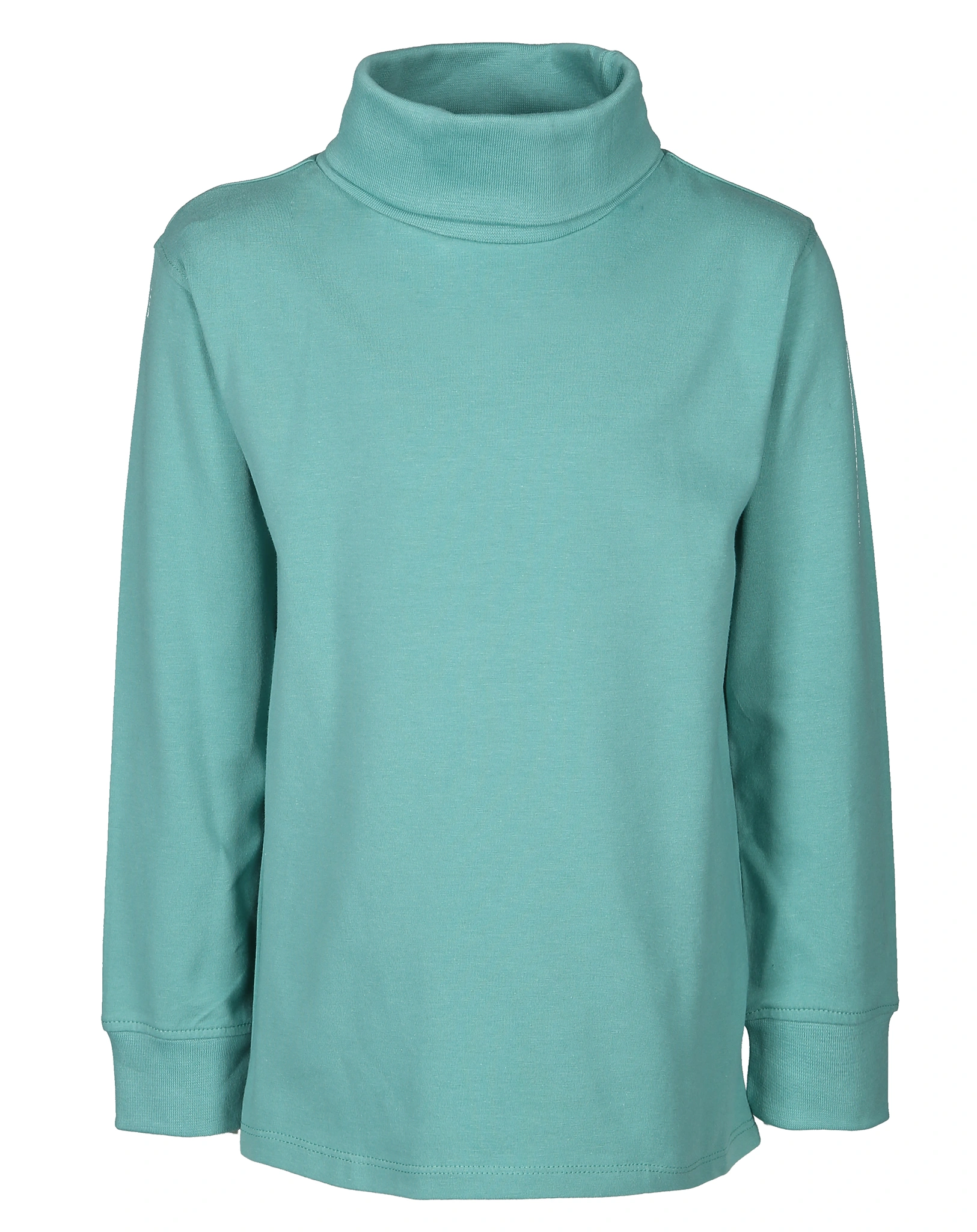 Rollkragen-Langarmshirt BASIC in grün
