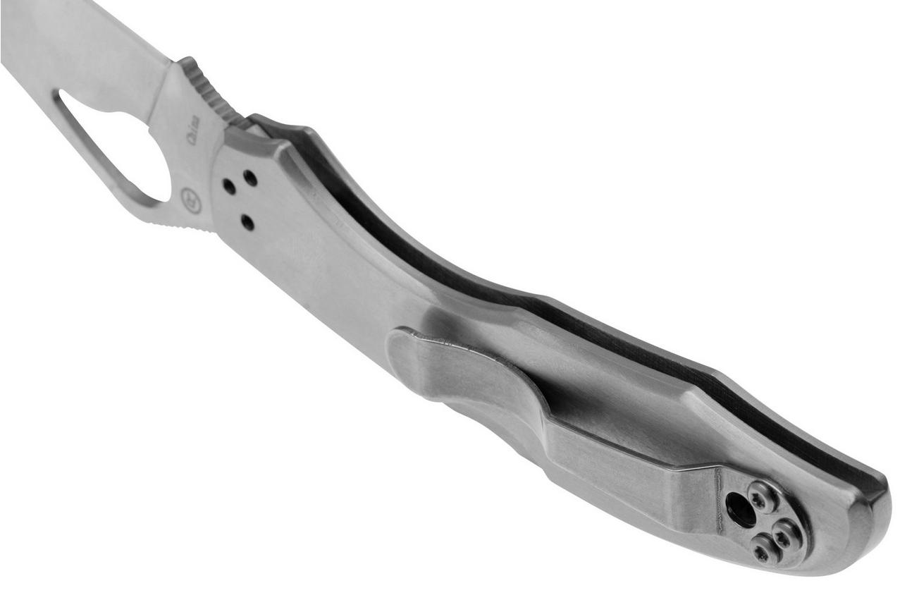 Spyderco Byrd Meadowlark 2 Stainless Steel BY04P2 zakmes