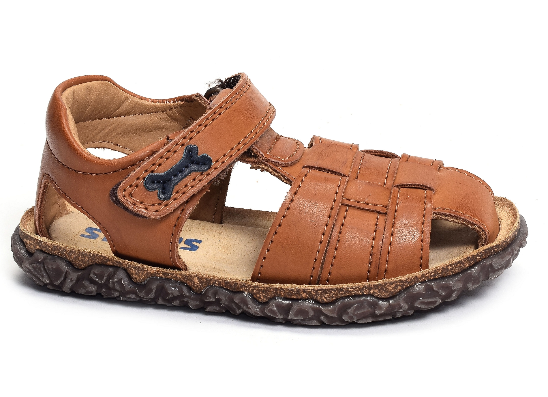 Raxi camel