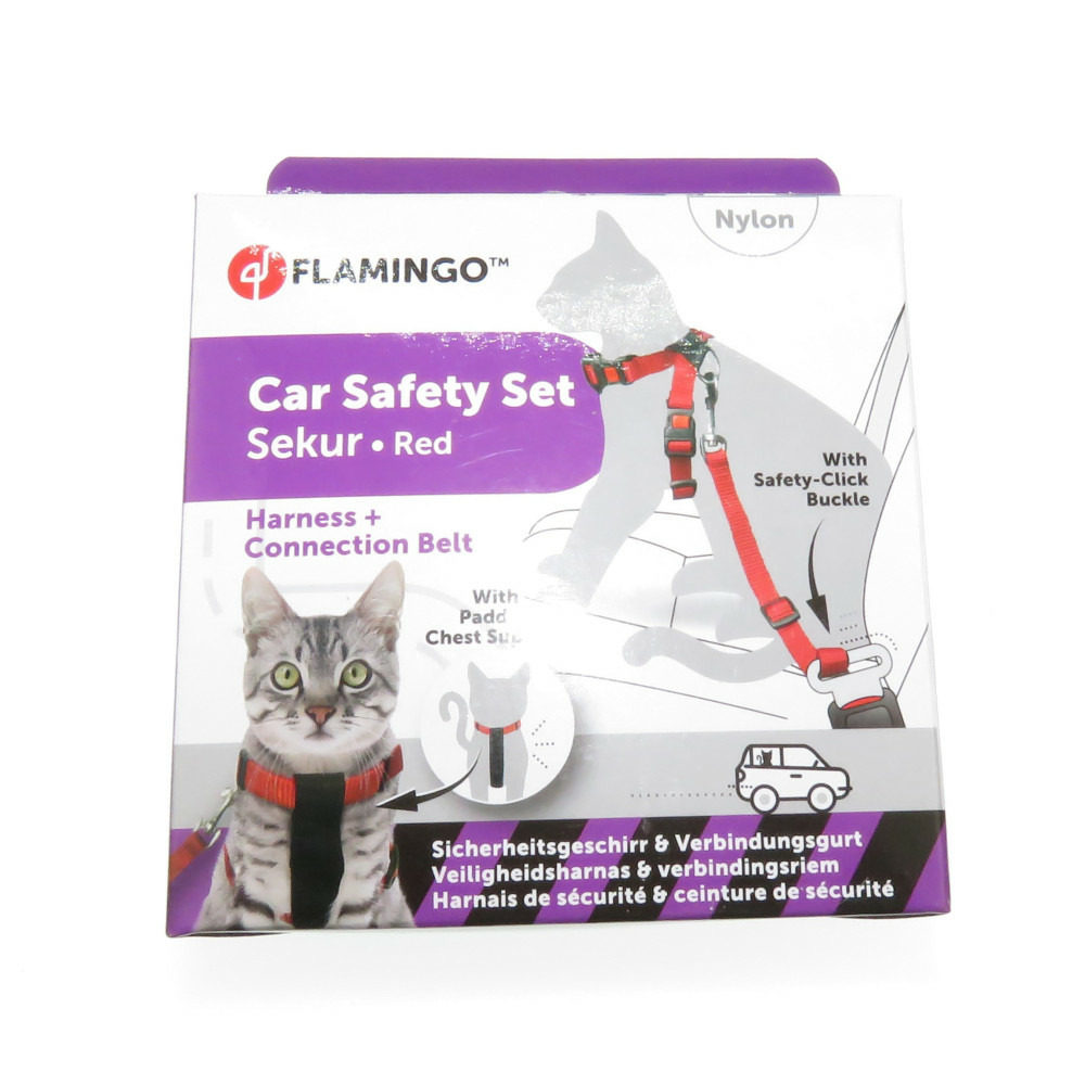 Harnais de sécurité voiture + laisse rouge 15 mm pour chat