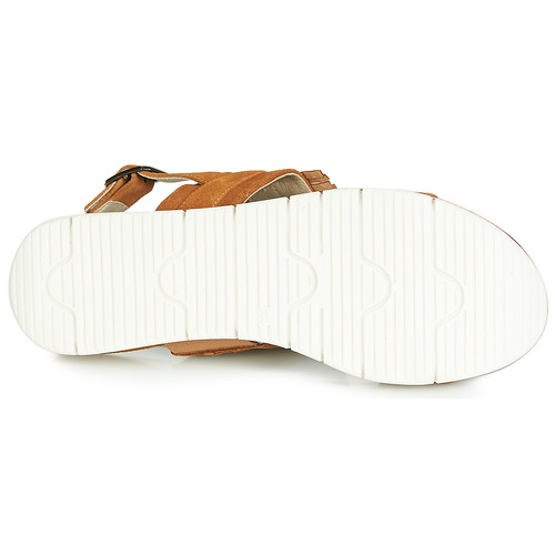Dorking - 7863 - Marron