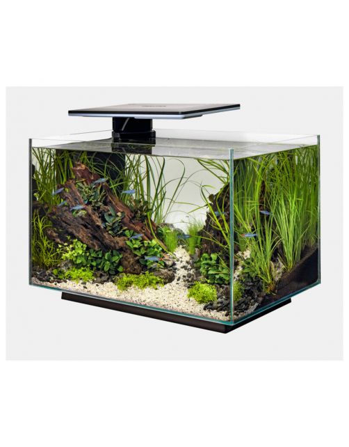 Superfish Quadro 70 Pro - Aquaria