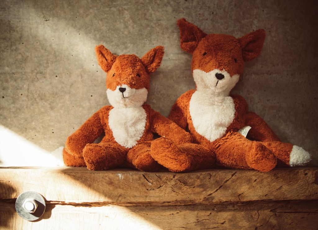 Senger Schlenker Fuchs