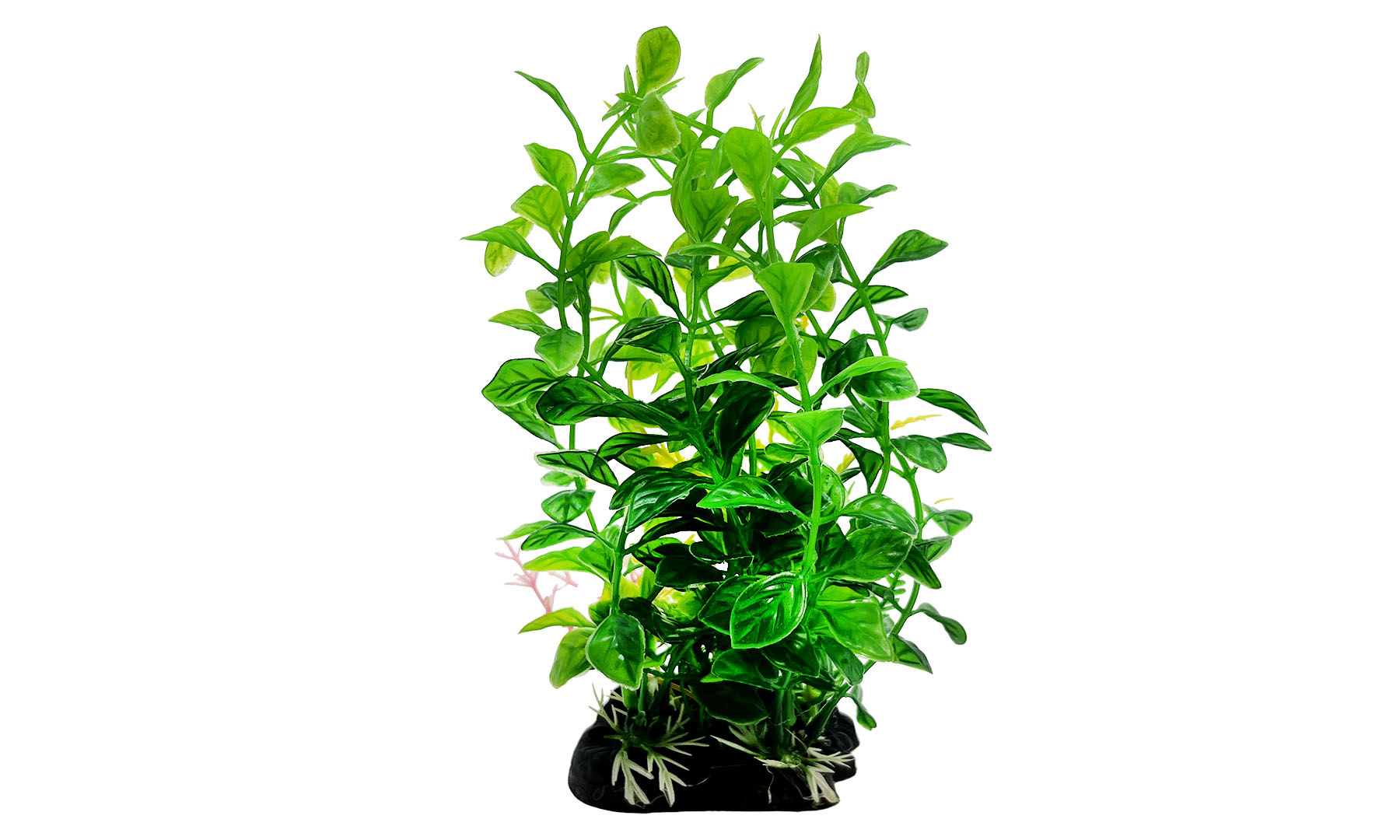 AquastoreXL Kunstplant 4 | Aquariumdecoratie