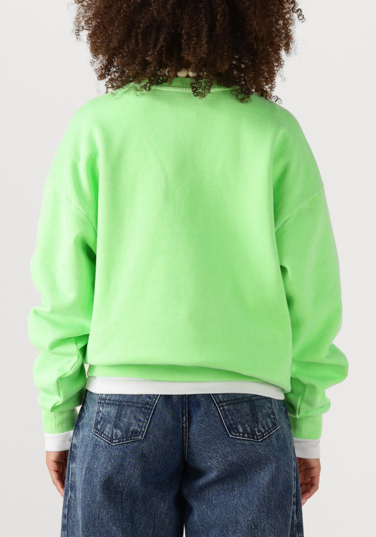 lime stieglitz sweater cruz sweater2