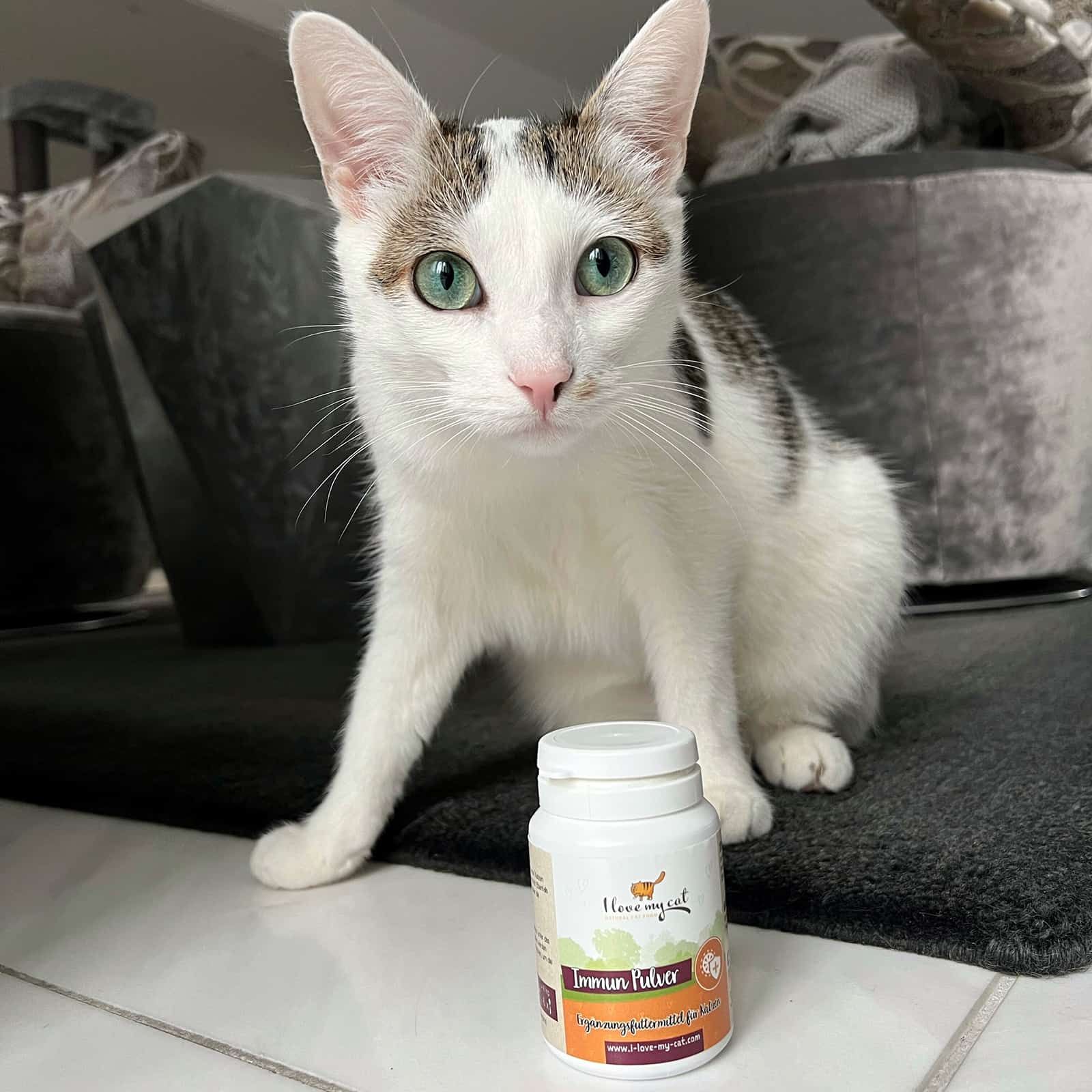 I love my cat Nahrungsergänzung für Kätzchen - Immun Kitten Pulver