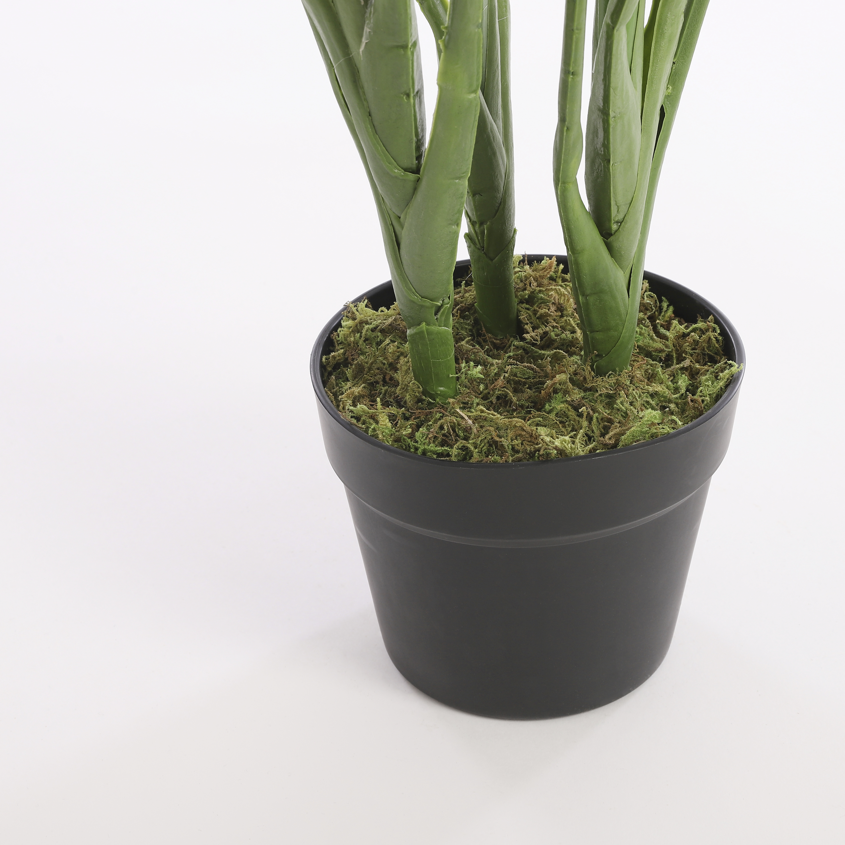 Strelitzia artificielle vert en pot h110