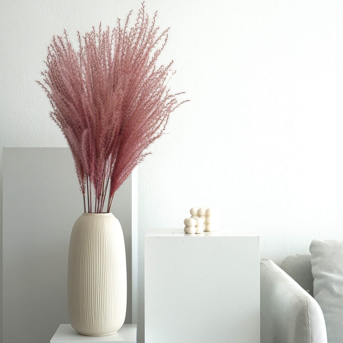 Vedergras I Miscanthus - 1 stengel