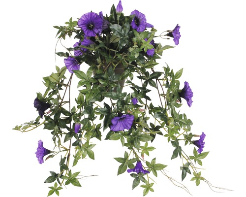 Hangende kunstpetunia, hangend paars