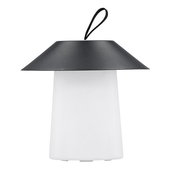 Buitenlamp Larn zwart
